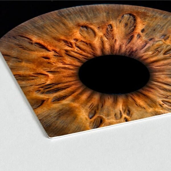Iris Metal Print