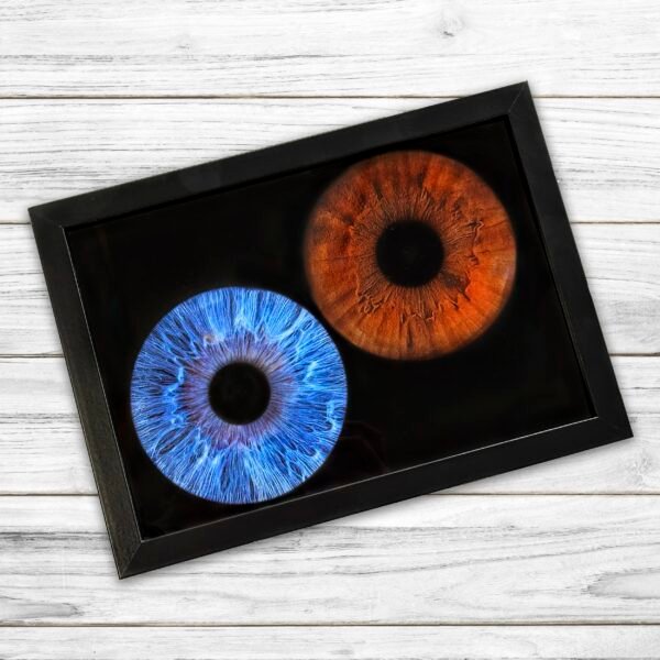 Iris Photo Paper Print - Image 2