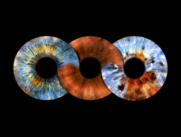 Iris Family Photo